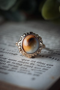 Early 1900s Gold Operculum Ring