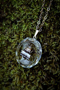 Victorian Rock Crystal with Carved Banded Agate Fly Necklace