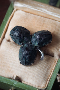 Victorian Scarab Beetle Clover Brooch