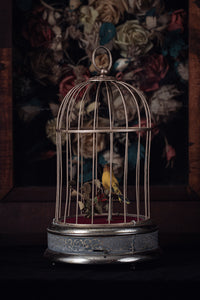 Singing and Moving Automaton Bird in Cage