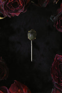 Victorian Scarab Beetle Lapel Pin