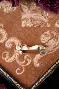Victorian Hand Seeking Comfort Brooch